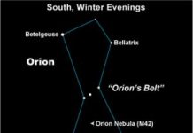 Cada año, el 23 de enero, Rigel transita el meridiano aproximadamente a las 21:00 horas.