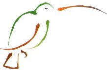 Fascinación por la ciencia ¿II?