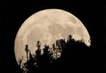 La Luna sale antes o después que el Sol y con cuanto tiempo de diferencia?