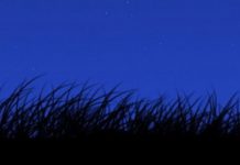 Efemérides astronómicas del 31 de diciembre al 6 de enero de 2013