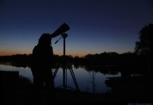 Para ver y disfrutar